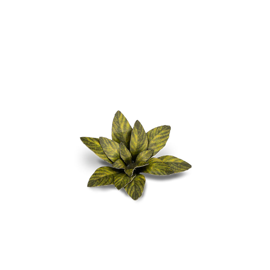 Close-up of an assembled Dumb Cane laser-cut plant showing realistic leaf shape, colour and fine cut details.