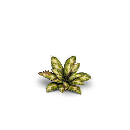 Close-up of an assembled Dumb Cane laser-cut plant showing realistic leaf shape, colour and fine cut details.