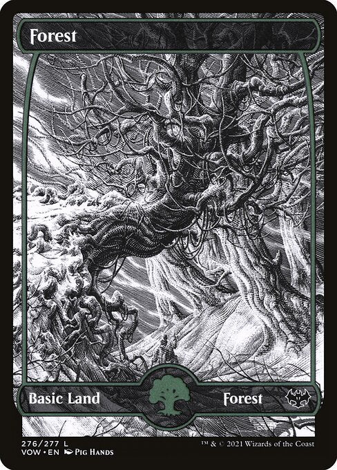 MTG Forest VOW 276 Standard Nonfoil front
