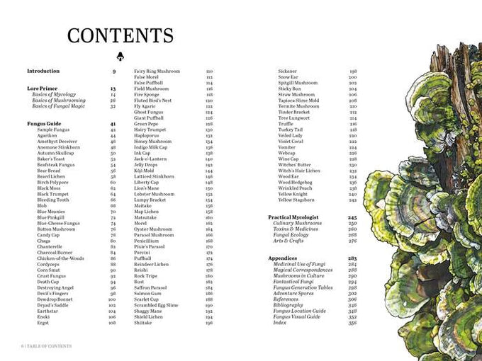 Mycologist’s Primer - RPG Supplement