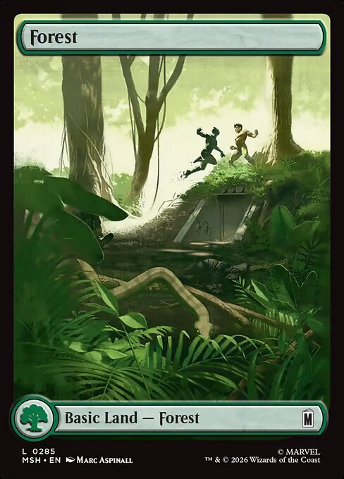 MTG Forest MSH 285 Full Art City Land Foil