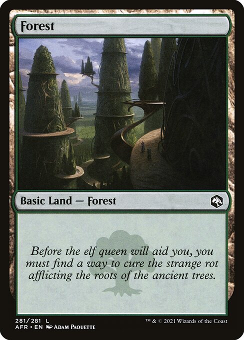 MTG Forest AFR 281 Regular Nonfoil