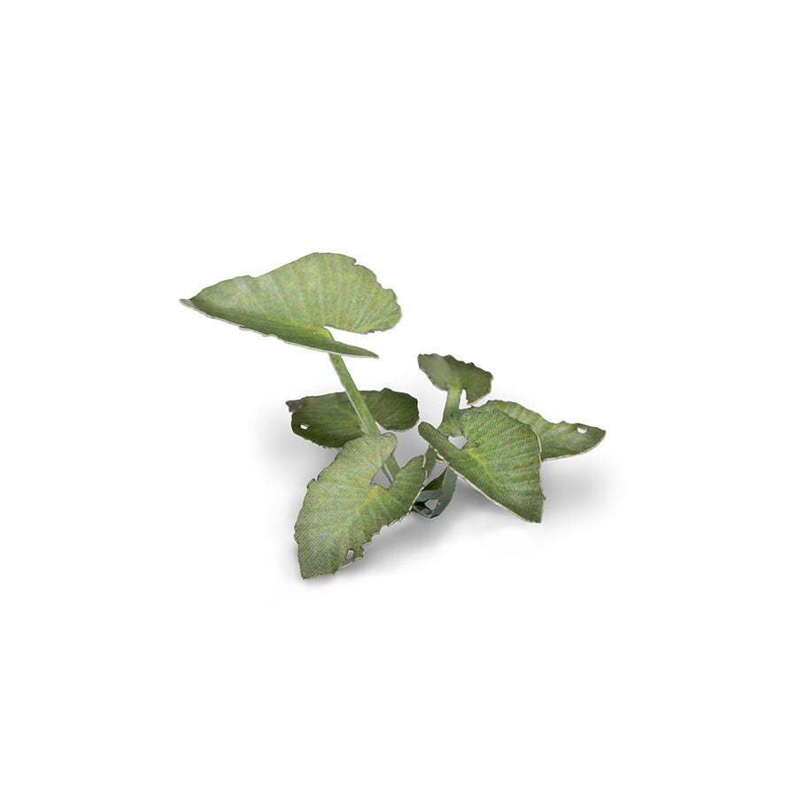 Close-up of an assembled Elephant Ear laser-cut plant showing realistic leaf shape, colour and fine cut details.
