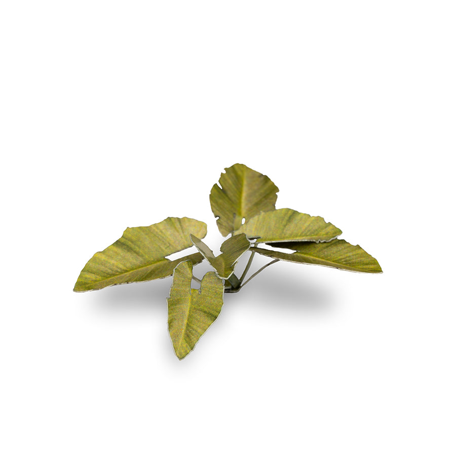 Close-up of an assembled Elephant Ear laser-cut plant showing realistic leaf shape, colour and fine cut details.