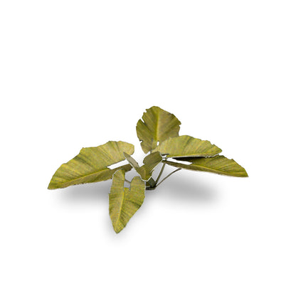 Close-up of an assembled Elephant Ear laser-cut plant showing realistic leaf shape, colour and fine cut details.
