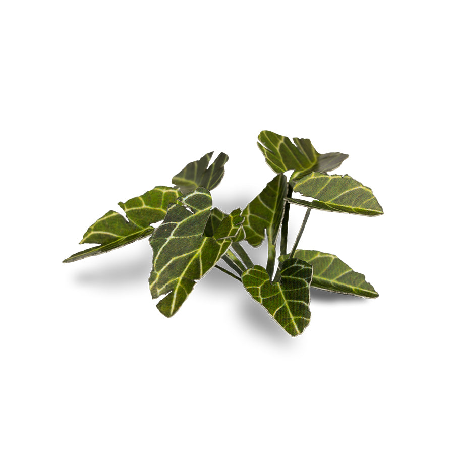 Close-up of an assembled Elephant Ear laser-cut plant showing realistic leaf shape, colour and fine cut details.