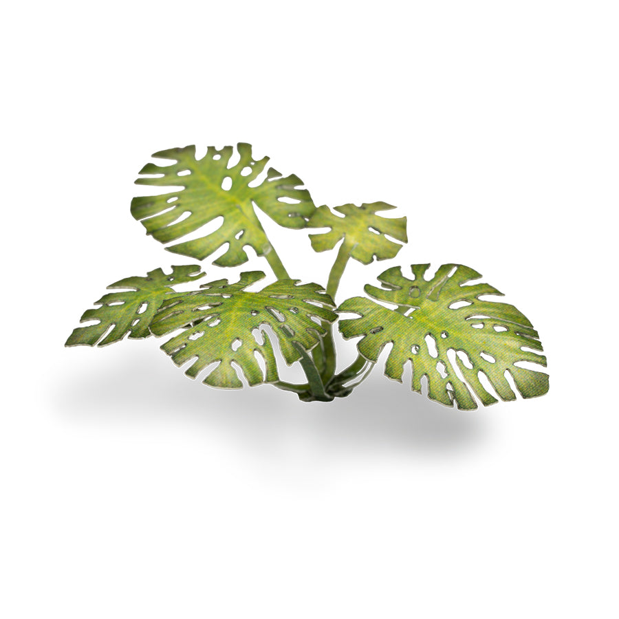Close-up of an assembled Monstera laser-cut plant showing realistic leaf shape, colour and fine cut details.