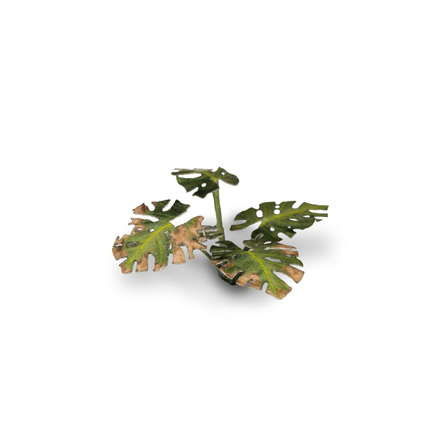 Close-up of an assembled Monstera laser-cut plant showing realistic leaf shape, colour and fine cut details.
