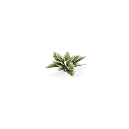 Miniature terrain featuring assembled Plantain Lily laser-cut plants integrated into a realistic scenic landscape.