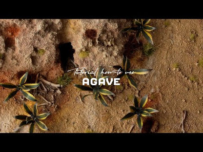Laser Plants - Agave