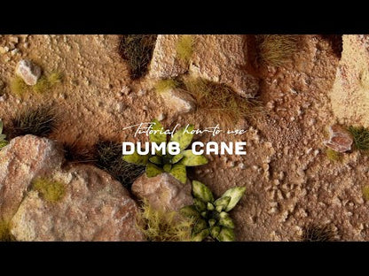 Laser Plants - Dumb Cane