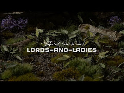 Laser Plants - Lords-and-Ladies