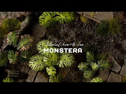 Laser Plants - Monstera