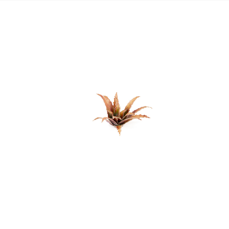 Miniature terrain featuring assembled Red Aloe laser-cut plants integrated into a realistic scenic landscape.